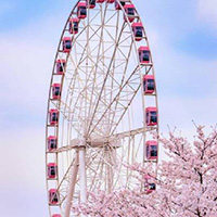 �����F(tu��n)