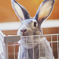 �_��(d��ng)��@��_���