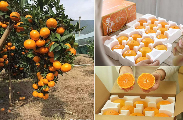 ˽��ֱ��չ�����۽۸����c���ɹ�ͻ�����ط��r�aƷ˽��I�N�µ䷶